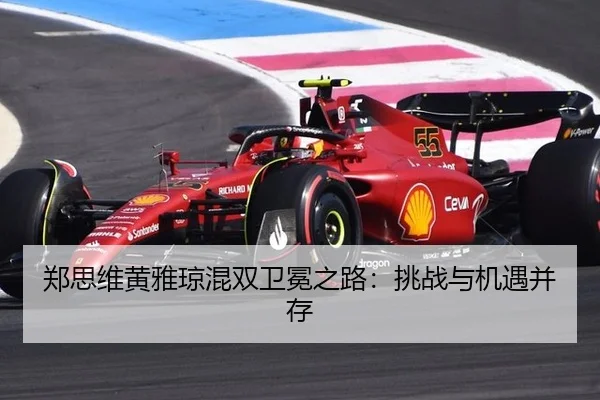zheng-si-wei-huang-ya-qiong-hun-shuang-wei-mian-zhi-lu-tiao-zhan-yu-ji-yu-bing-cun-3-101.jpg