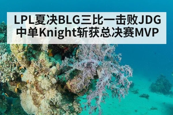 LPL夏决BLG三比一击败JDG 中单Knight斩获总决赛MVP